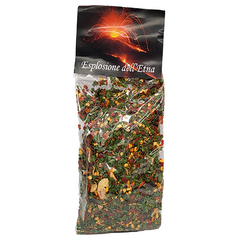 Esplosione dell'Etna Gr80